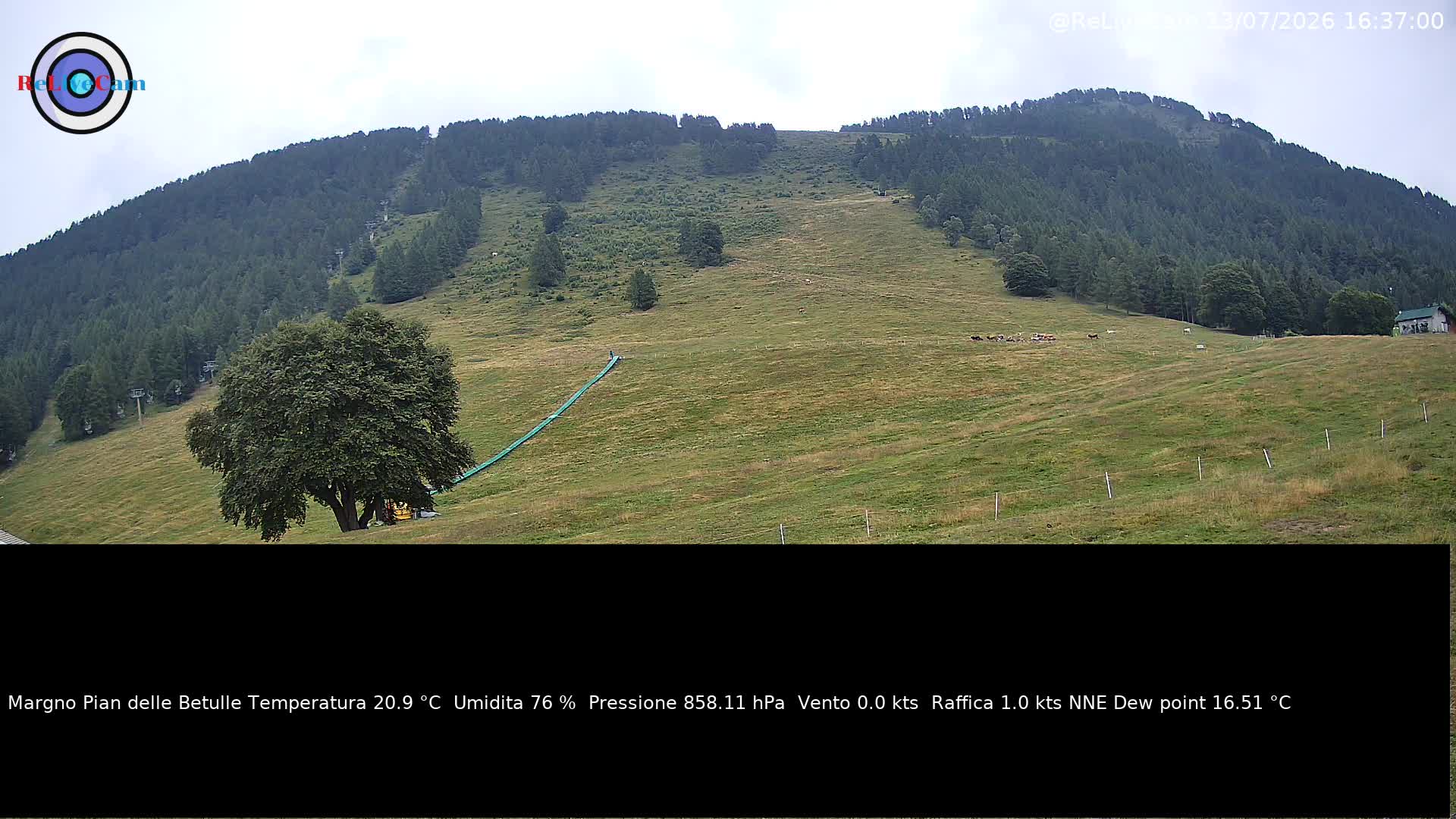 Timelapse del 13/07/2026