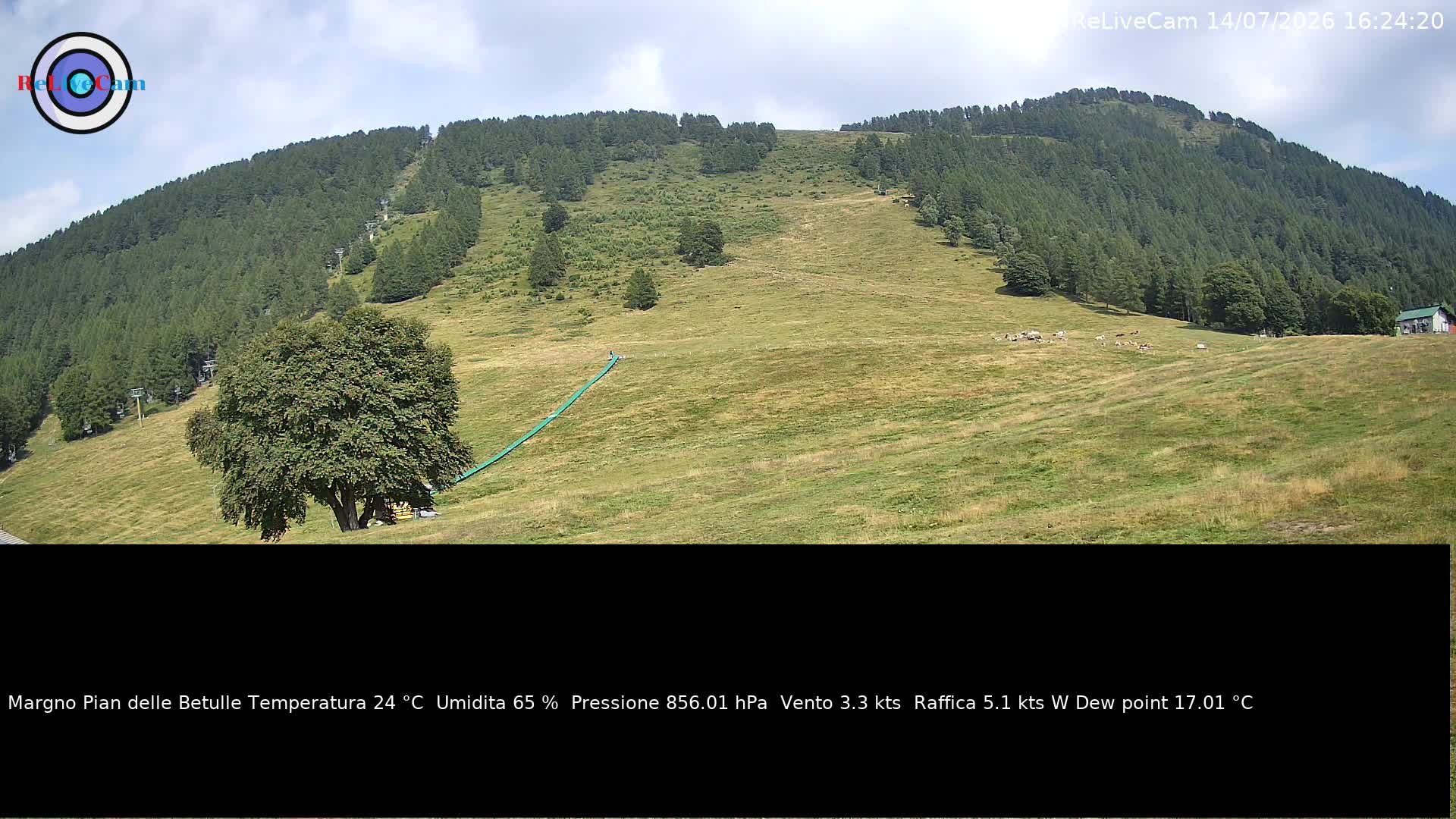 Timelapse del 14/07/2026